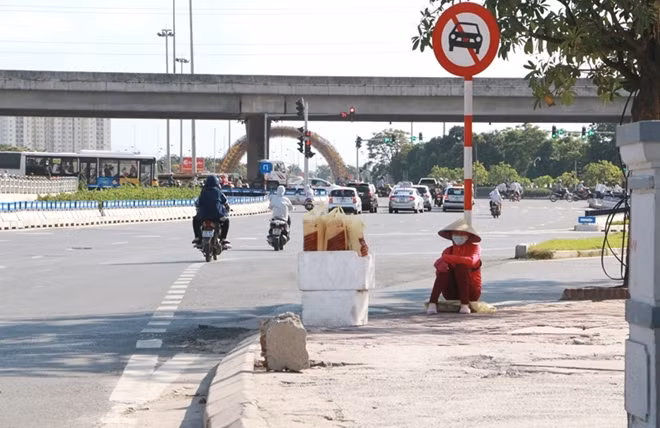 Bán bánh mì, tránh nắng dưới tán cây mỏng manh trên đường Trần Duy Hưng.