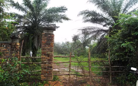 “Bảo tàng chiến tranh” ngoài trời ở Vực Quành hiện đã trở thành phế tích.
