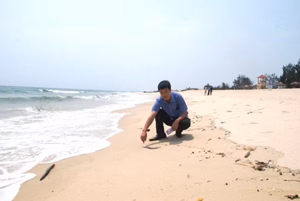 Mùa du lịch biển nhưng bãi biển vắng tanh, chỉ có phóng viên đi thực tế tìm hiểu để viết bài.