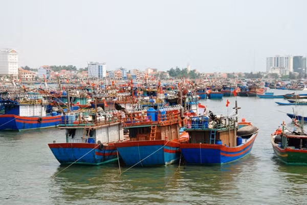 Hàng loạt tàu thuyền của ngư dân neo bờ vì cá đánh bắt được về bờ không thể tiêu thụ được.