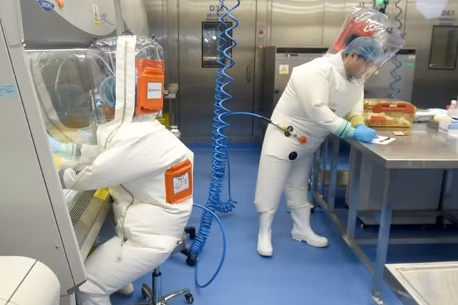 Các chuyên gia làm việc tại Viện Virus học Vũ Hán. Ảnh: Reuters