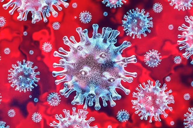 Hình ảnh mô phỏng virus SARS-CoV-2. Ảnh: ITN