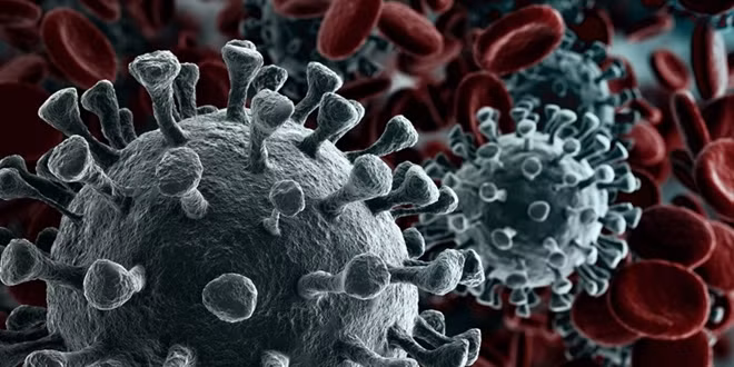 Hình ảnh mô phỏng virus SARS-CoV-2. Ảnh: ITN