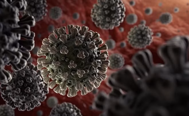 Hình thù của virus SARS-CoV-2. Ảnh: ITN