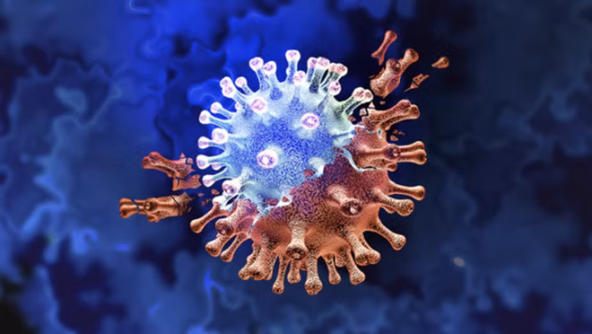 Hình ảnh mô phỏng virus SARS-CoV-2. Ảnh: Rappler