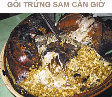 Nhan nhản quảng cáo về tác dụng chữa bệnh của trứng và huyết sam.