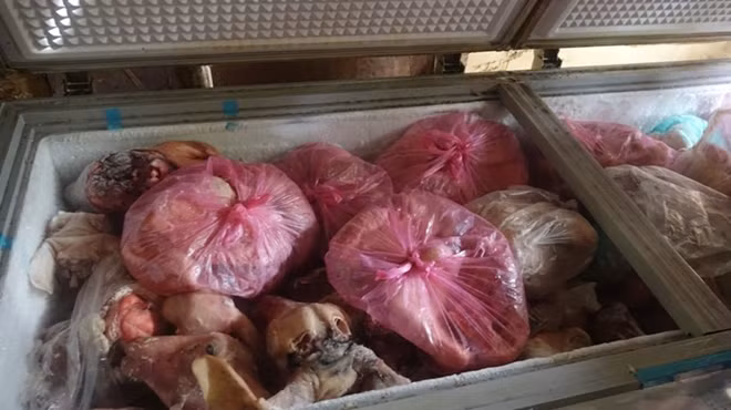 Cả tấn thịt dê không rõ nguồn gốc, chưa kiểm dịch được phát hiện tại lò giết mổ.
