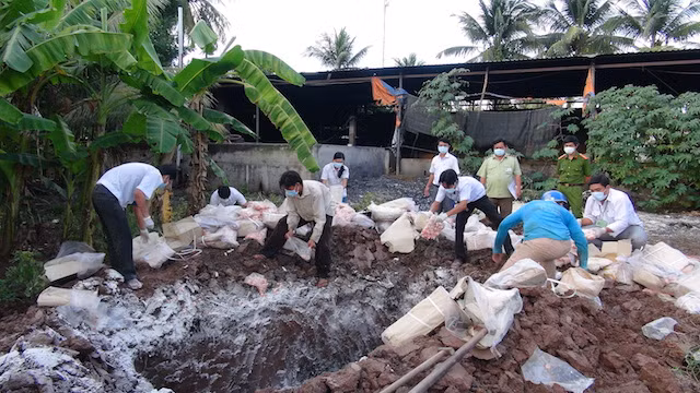 Hơn 2 tấn sụn gà bị bắt giữ và tiêu huỷ theo quy định.