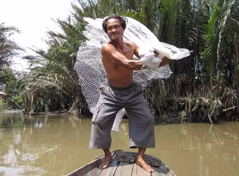Lão Chúc phơi mình giữa trời quăng chài kiếm cá.