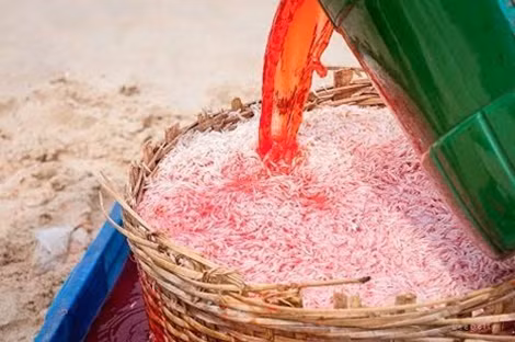 Cuối tháng 3-2016, một người dân đã đưa lên mạng xã hội và cung cấp cho báo chí hình ảnh được cho ngư dân ở phường Xuân Đài, thị xã Sông Cầu (Phú Yên) sử dụng hóa chất để nhuộm đỏ ruốc biển.