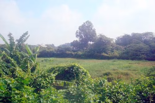 Quang cảnh Mật khu Hố Trầu hiện nay.