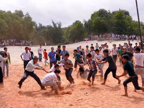 Tranh nhau quả cù!
