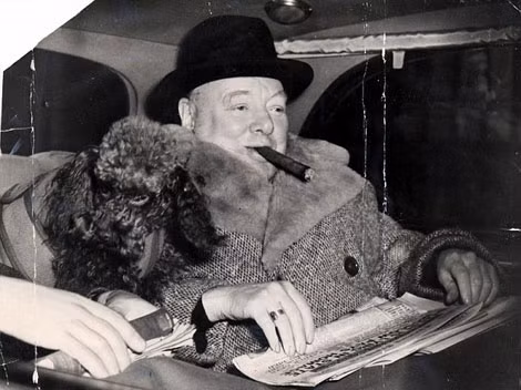 Ông Churchill nghiện rượu và xì gà. Ông Churchill nghiện rượu và xì gà.