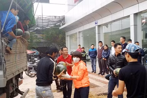 “Mỗi trái dưa, một tấm lòng”, những ngày qua, người dân Hà Nội và các tỉnh lân cận đang dồn hết tình cảm cho người dân miền Trung.