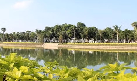 Không gian xanh trong FLC Vĩnh Thịnh Resort