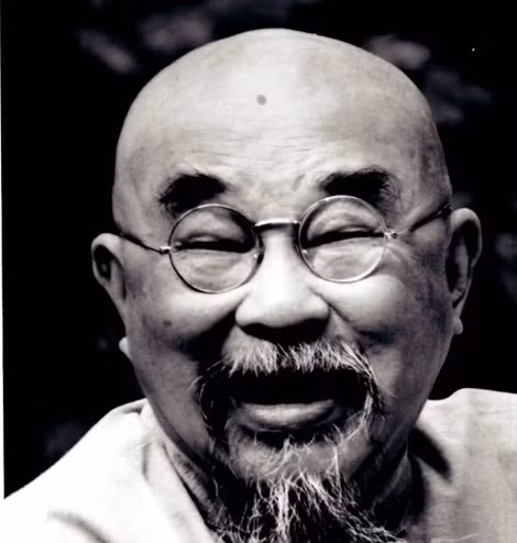 Nhà văn Bùi Bình Thi khi về già.