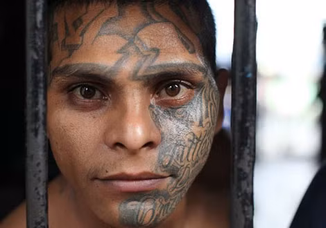 Một thành viên của băng đảng Mara Salvatrucha. Một thành viên của băng đảng Mara Salvatrucha.