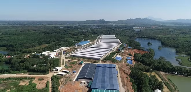 Toàn cảnh khu vực trại gà của Hòa Phát có diện tích lên đến 40ha.