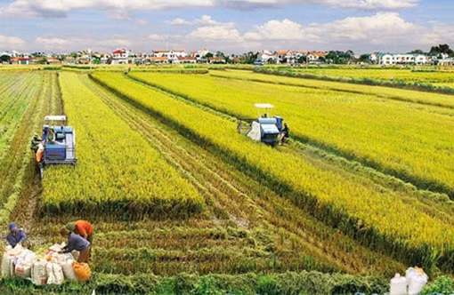 Cấp 617.964 giấy chứng nhận quyền sử dụng đất nông nghiệp