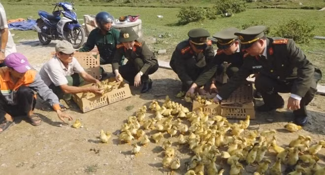 Cán bộ, chiến sỹ Công an Quảng Bình tặng vịt nuôi cho các hộ gia đình khó khăn trên địa bàn để phát triển kinh tế.
