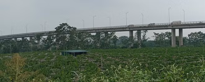 Cầu Phùng.