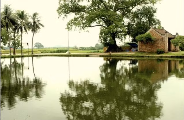 Ao làng (ảnh minh họa) Ao làng (ảnh minh họa)