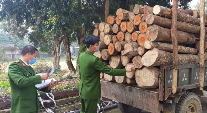 Số gỗ và phương tiện vi phạm Công an huyện Thường Xuân tạm giữ.