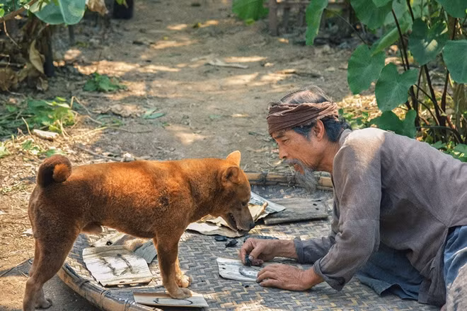 Phim “Cậu Vàng” lỗ nặng ở phòng vé vì nhiều sáng tạo thiếu logic.
