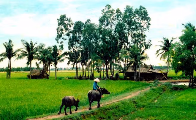 Ảnh chỉ mang tính minh họa.
