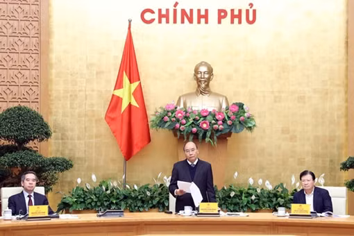 Lương thực toàn cầu trong cơn bão giá ảnh 5