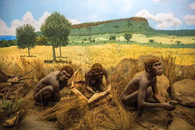 Loài mới này được đặt tên tạm thời là Homo luzonensis.