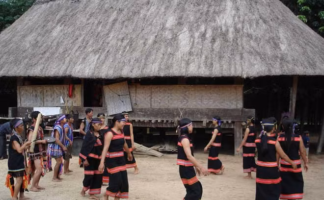 Những vòng Xoang.