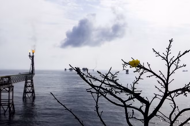 Xuân sớm trên những giàn khoan dầu khí.