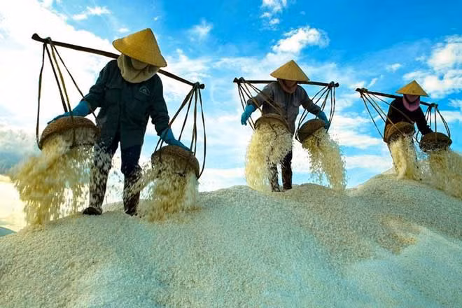 Vẻ đẹp trong lao động của người Việt. Vẻ đẹp trong lao động của người Việt.