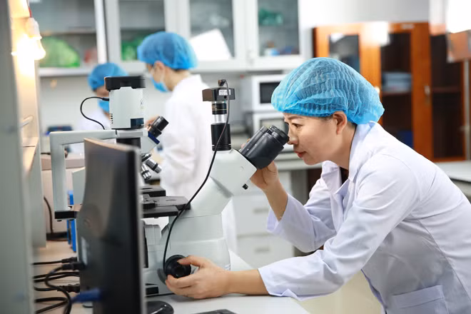 Ths. Bá Thị Châm làm việc trong phòng thí nghiệm