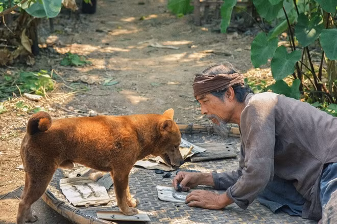 Nghệ sĩ Viết Liên và Cậu Vàng trong phim.