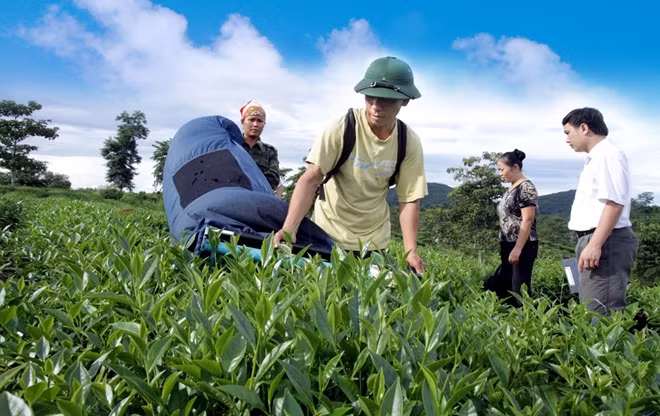 Agribank thể hiện quyết tâm trong điều kiện khó khăn vẫn luôn hỗ trợ và đồng hành cùng doanh nghiệp, người dân góp phần phục hồi SXKD.