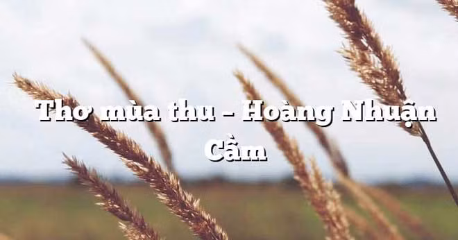 Trang thơ mùa thu trên internet của nhà thơ Hoàng Nhuận Cầm.