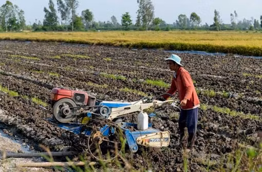 Sớm sửa đổi Luật thuế 71 phù hợp tình hình, đúng chiến lược phát triển