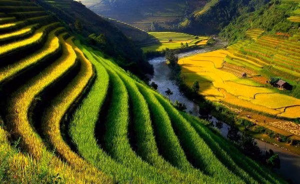 Vẻ đẹp nên thơ mà hùng vĩ của Tổ quốc Việt Nam. Vẻ đẹp nên thơ mà hùng vĩ của Tổ quốc Việt Nam.
