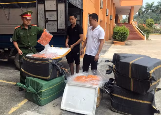 Các thùng xốp đựng trong 7 bao tải, bên trong chứa nhiều túi trứng gà non đông lạnh.