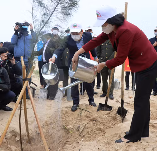Phó Chủ tịch nước Đặng Thị Ngọc Thịnh và Bí thư Tỉnh ủy Quảng Bình Vũ Đại Thắng trồng cây tại lễ phát động.
