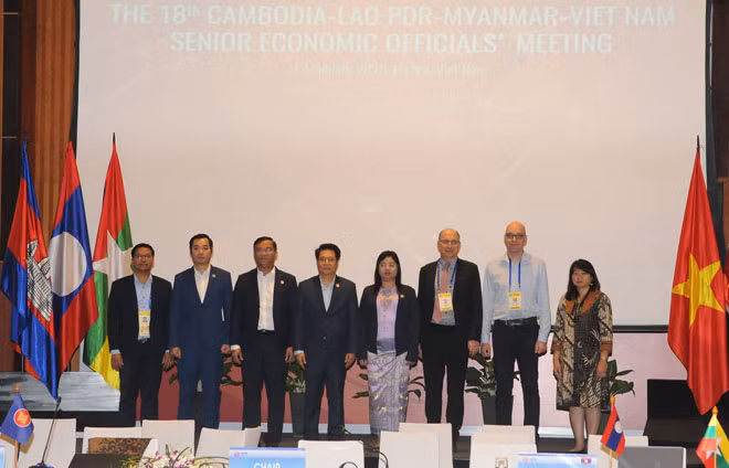 Các đại biểu dự hội nghị.