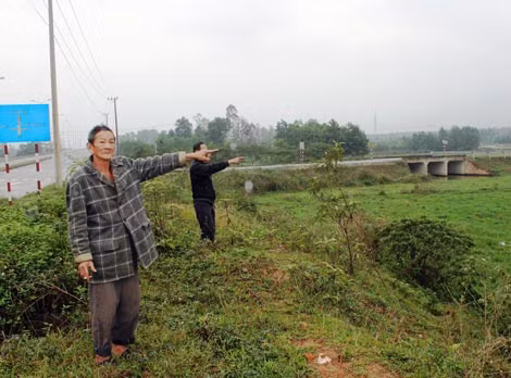 Trung tâm Phát triển quỹ đất TP Đông Hà đã trả tiền bồi thường đất lúa cho người dân khi chính quyền địa phương và Chính phủ chưa cho phép, gây hậu quả nghiêm trọng.