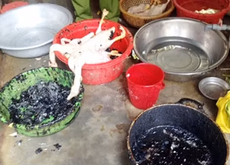 Chủ cơ sở giết mổ gia cầm đã nghĩ ra “sáng kiến” dùng loại hóa chất màu đen này để làm sạch lông vịt (Ảnh: Minh Quân)