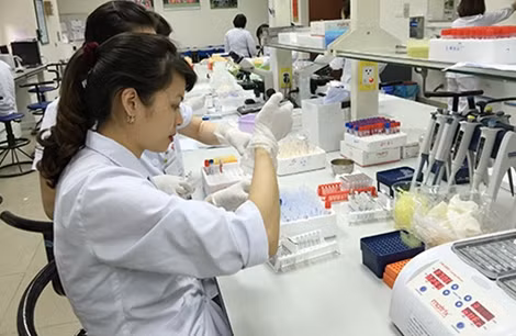 Kiểm tra các nhóm máu tại Viện Huyết học Truyền máu Trung ương.