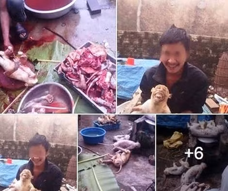 Những hình ảnh phản cảm về việc giết khỉ được Chu Văn Cường đưa lên mạng xã hội facebook.