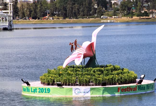 Tiểu cảnh hoa lily