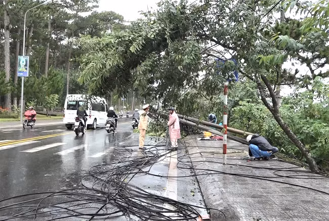 Hiện trường vụ tai nạn