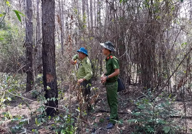 Lực lượng chức năng khám nghiệm hiện trường một vụ phá rừng ở Lâm Hà